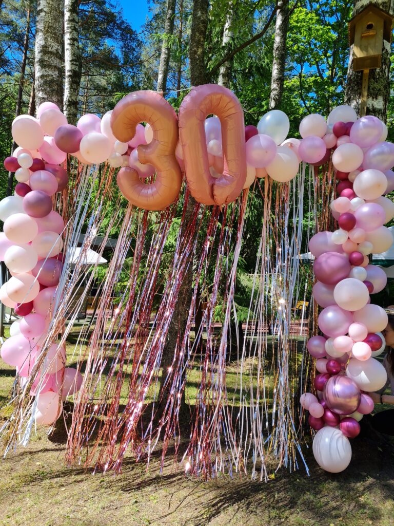 BĮ Valakampių socialinių paslaugų 30-metis